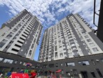 photo_low244390