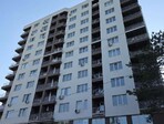 photo_low246029