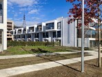 photo_low247343