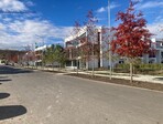 photo_low247345
