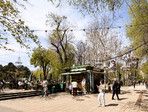 photo_low254279