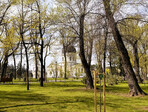 photo_low254278