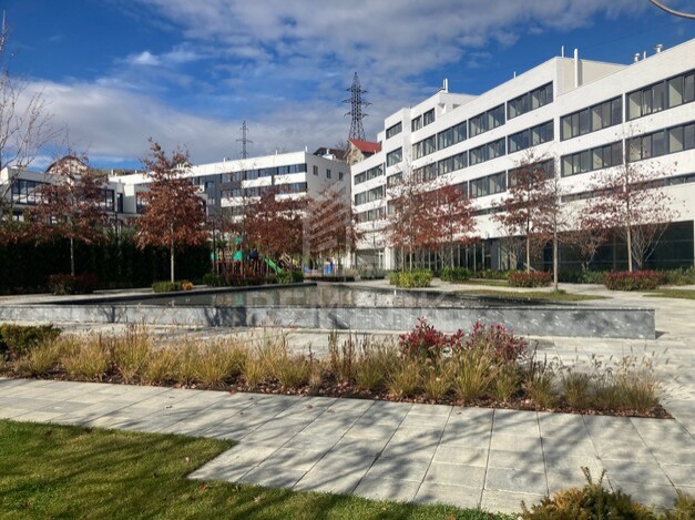 photo247347