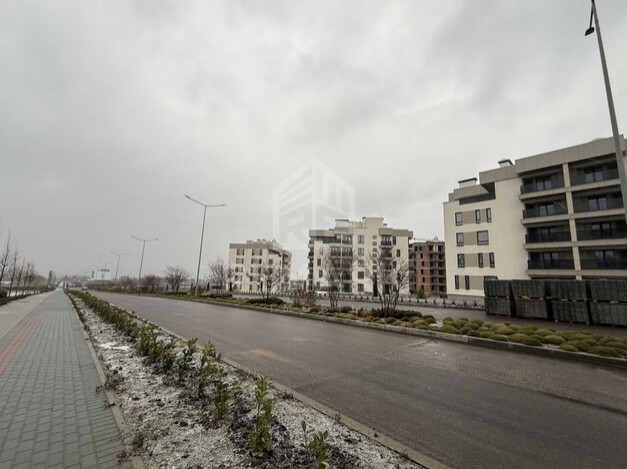 photo251578