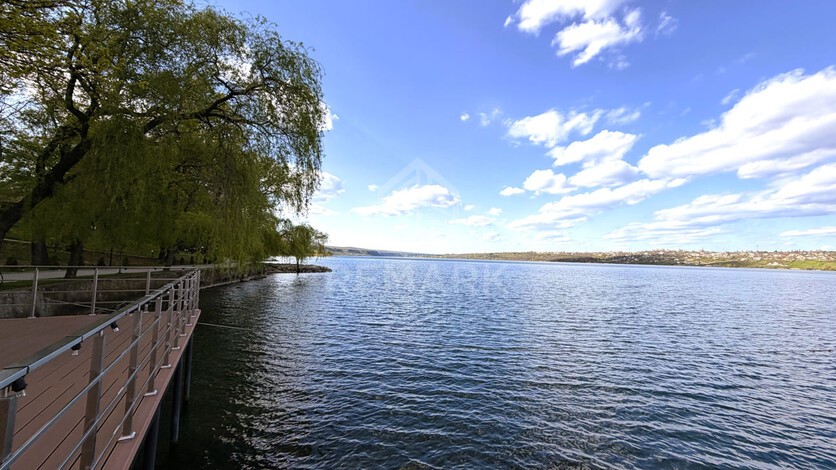 photo254342