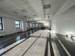 photo_low209296