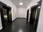 photo_low209299