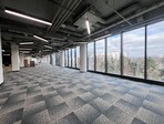 photo_low226454