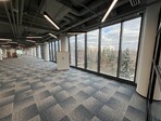 photo_low226524