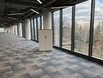 photo_low226529