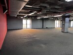 photo_low235064