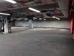 photo_low235068