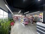 photo_low235218