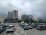 photo_low239580