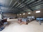 photo_low240720