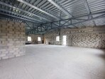 photo_low240722