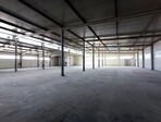 photo_low244387