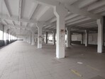 photo_low245165
