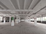 photo_low245172