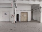 photo_low245181