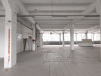 photo_low245182