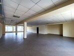 photo_low245564