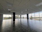 photo_low245652