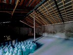 photo_low245697