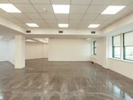 photo_low247318