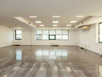 photo_low247319