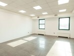 photo_low247323