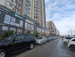 photo_low249561