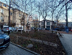photo_low250767