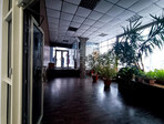 photo_low254103