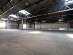 photo_low254765