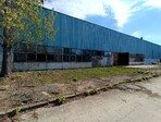 photo_low255540