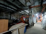 photo_low255659