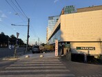photo_low257847