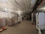 photo_low258771