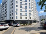 photo_low258783