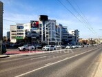 photo_low253740