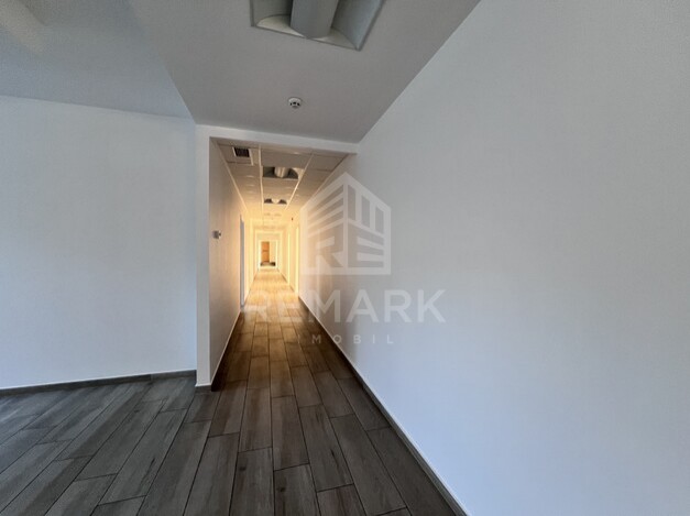 photo226347