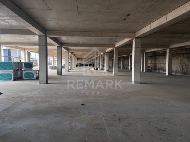 photo235827