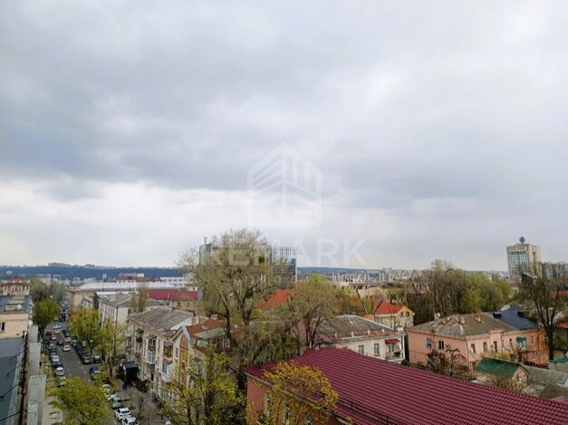 photo236339