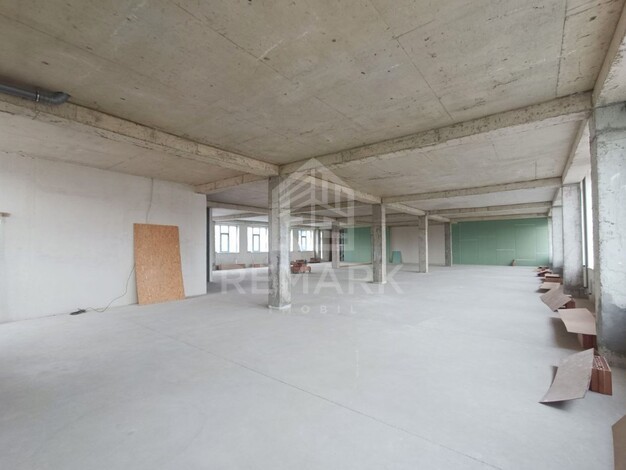 photo236338