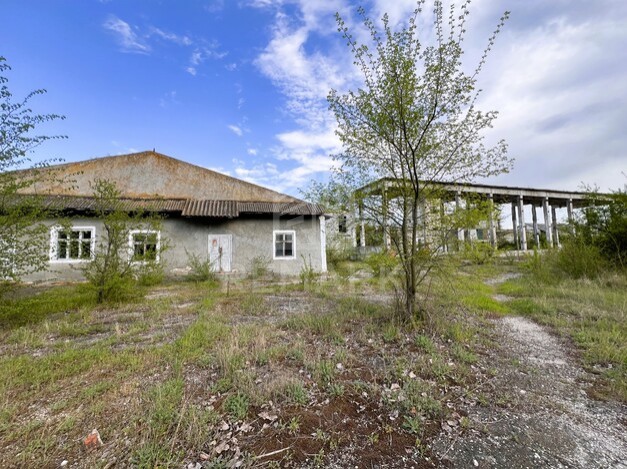 photo237531