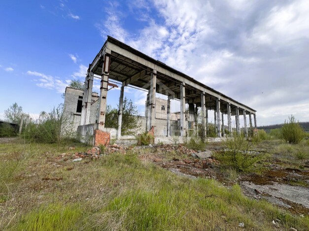photo237533