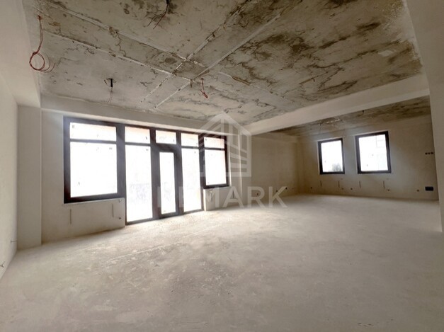 photo237560