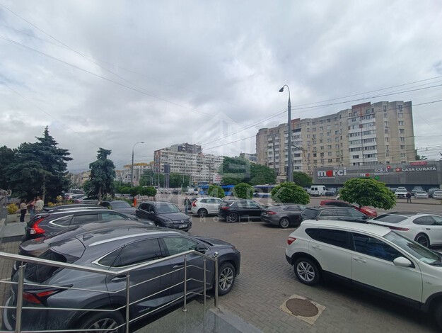 photo239583