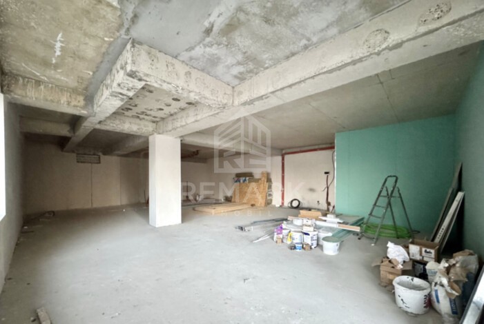 photo239767